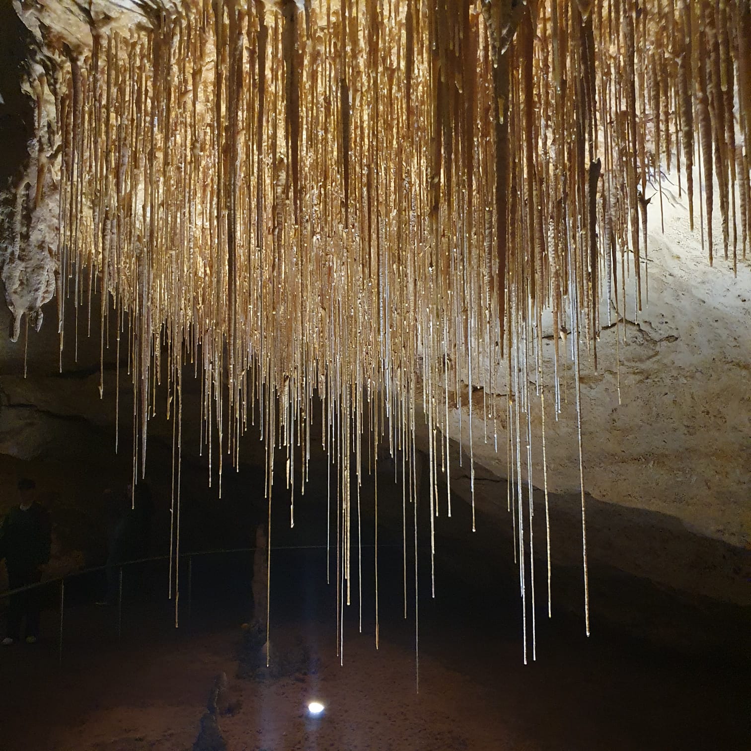 Karthik Kumar Maruthachalam