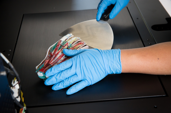 Removing parts from Stratasys J735