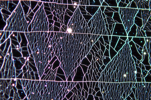 The Cracked Surface by Bastian Stoehr