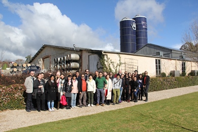 Wine marketing students at Bird in Hand winery