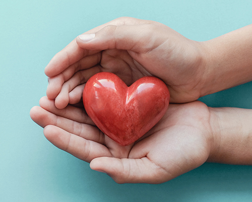 Cupped hands holding a red heart shape
