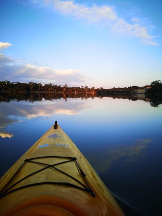 First Place - Jacob Wu