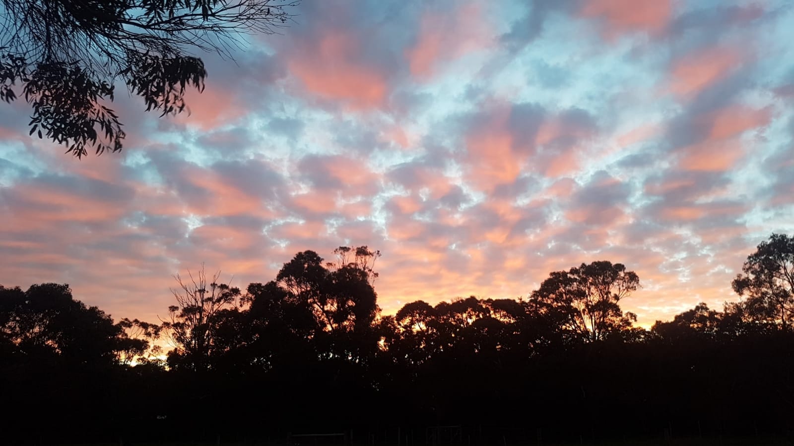 Second Place - Eliza Baker