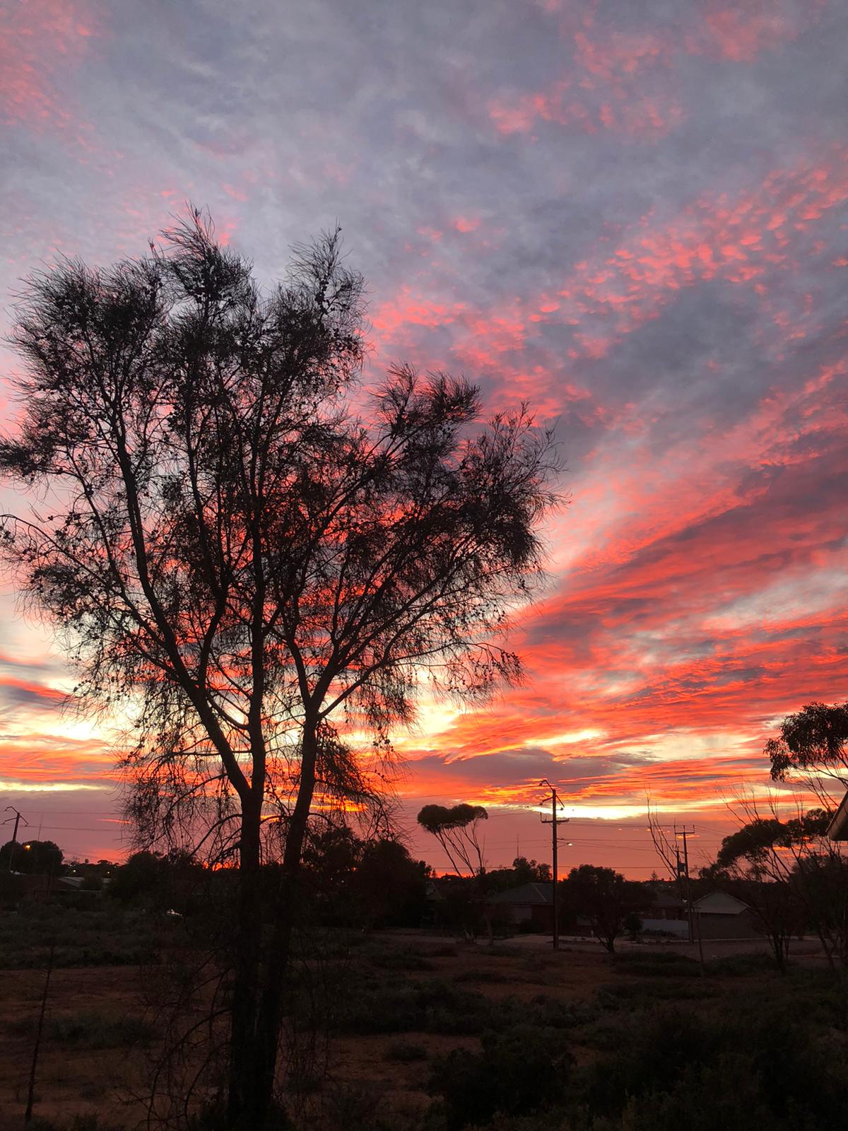 Brooke Coleman-Oakes