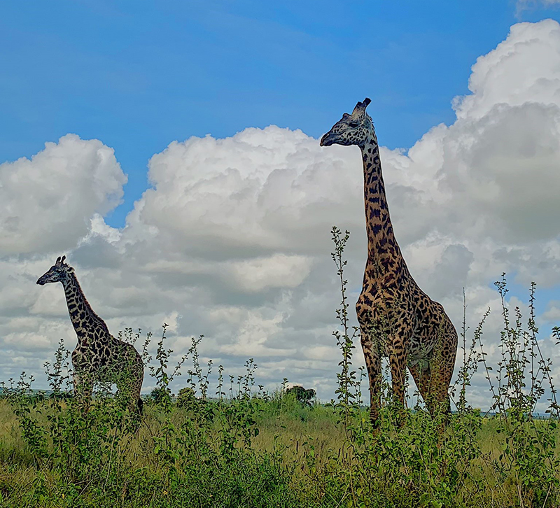 &lsquo;Sundays locked in Nairobi&rsquo;: Wawira from her Twitter Account