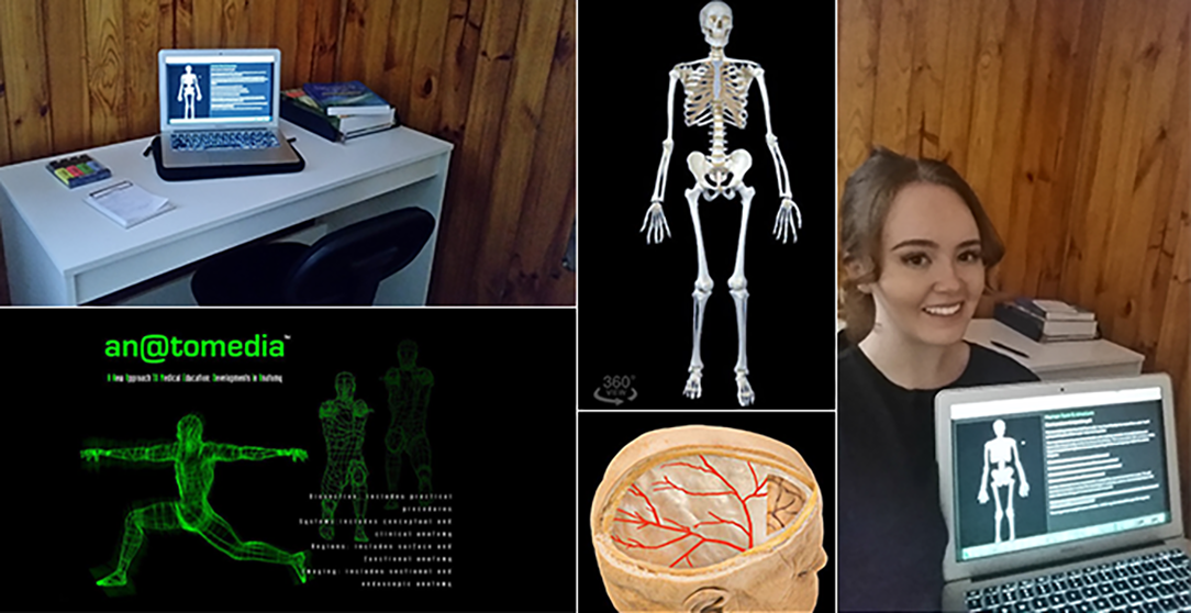 Anatomy Images &ndash; An@tomedia 2020, An@tomedia, image, anatomedia.com, viewed 7 May 2020