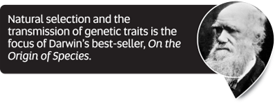 Did You Know fact: Natural selection and the transmission of genetic traits is the focus of Darwin&rsquo;s best-seller, On the Origin of Species.