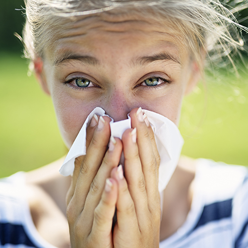 A child allergic to pollen blowing her nose