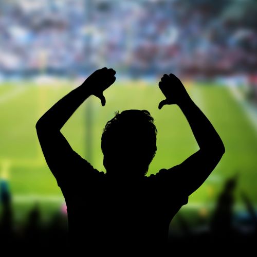 Sport_fan_GettyImages-578835602-500x500.jpg