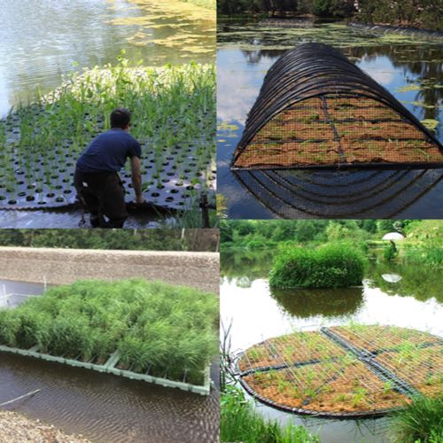 Constructed Floating Wetlands