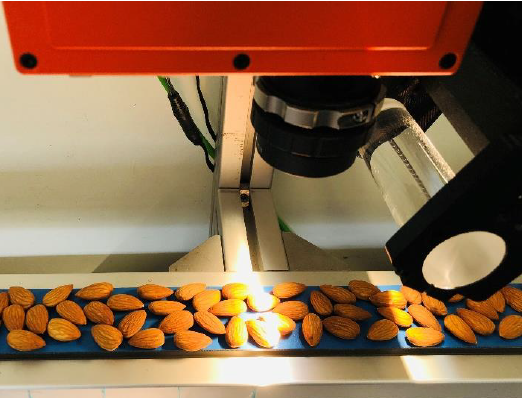 Imaging system on conveyer belt (a).png