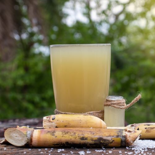 Sugar cane juice_500x500jpg.jpg