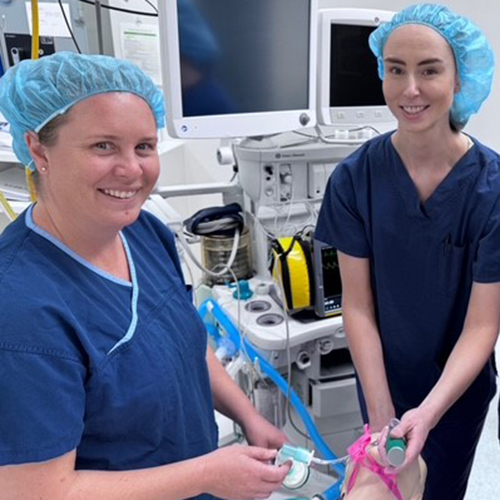 Nurses in the escape room