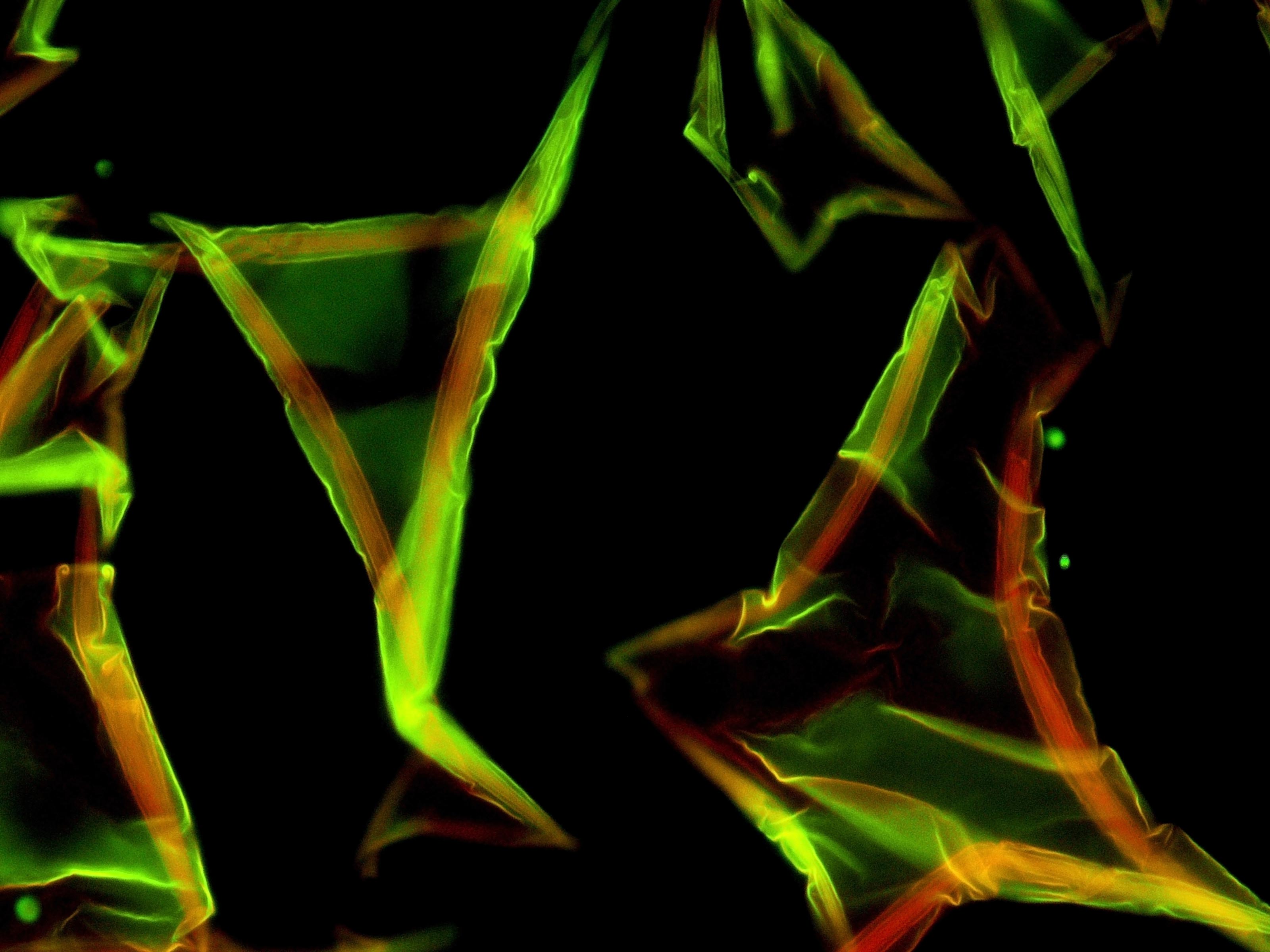 2017 - Finalist - Beautiful delamination, Dr Thomas Michl, Future Industries Institute