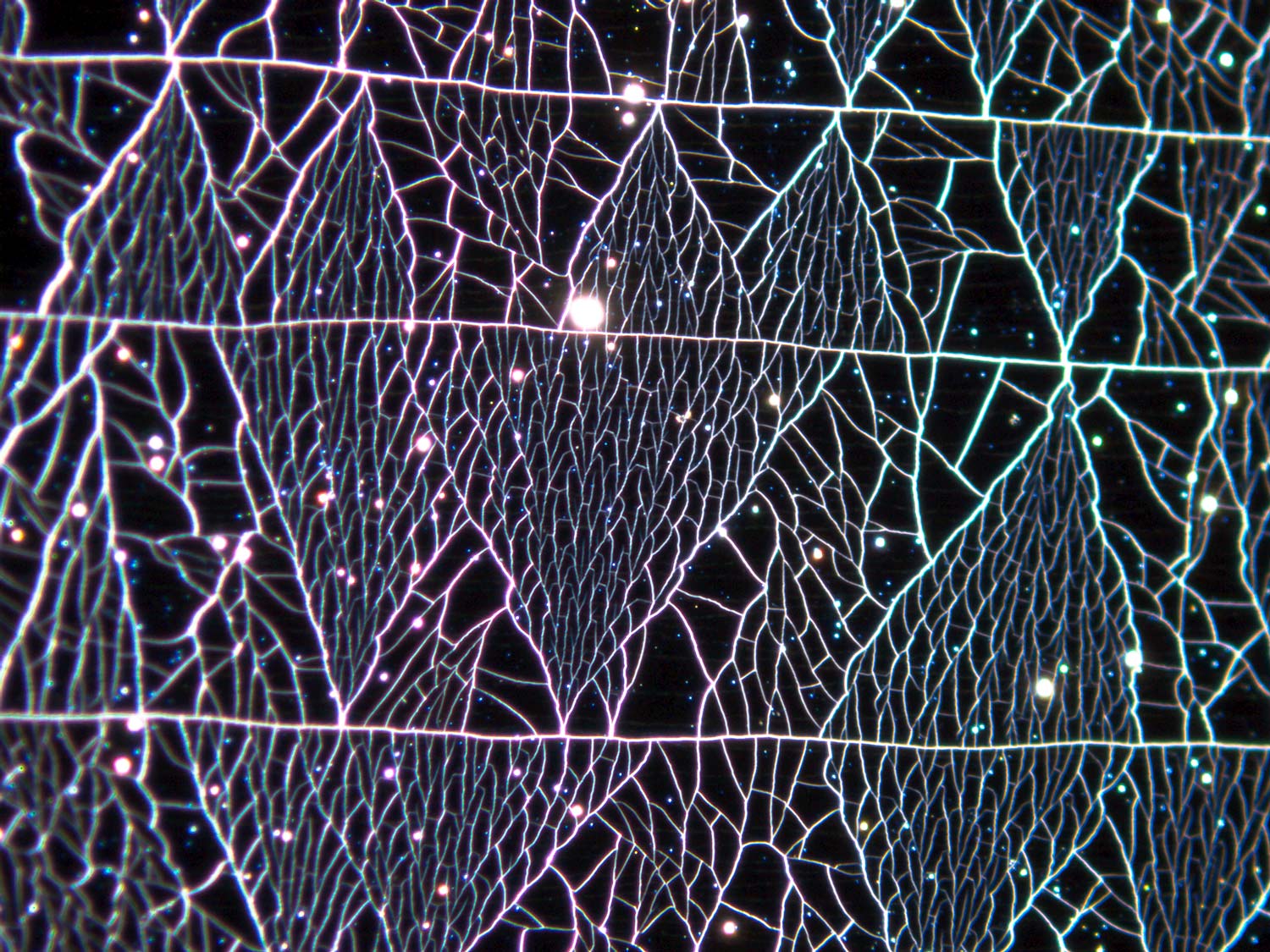 2019 - Finalist - The Cracked Surface - Dr Bastian Stoehr, Future Industries Institute