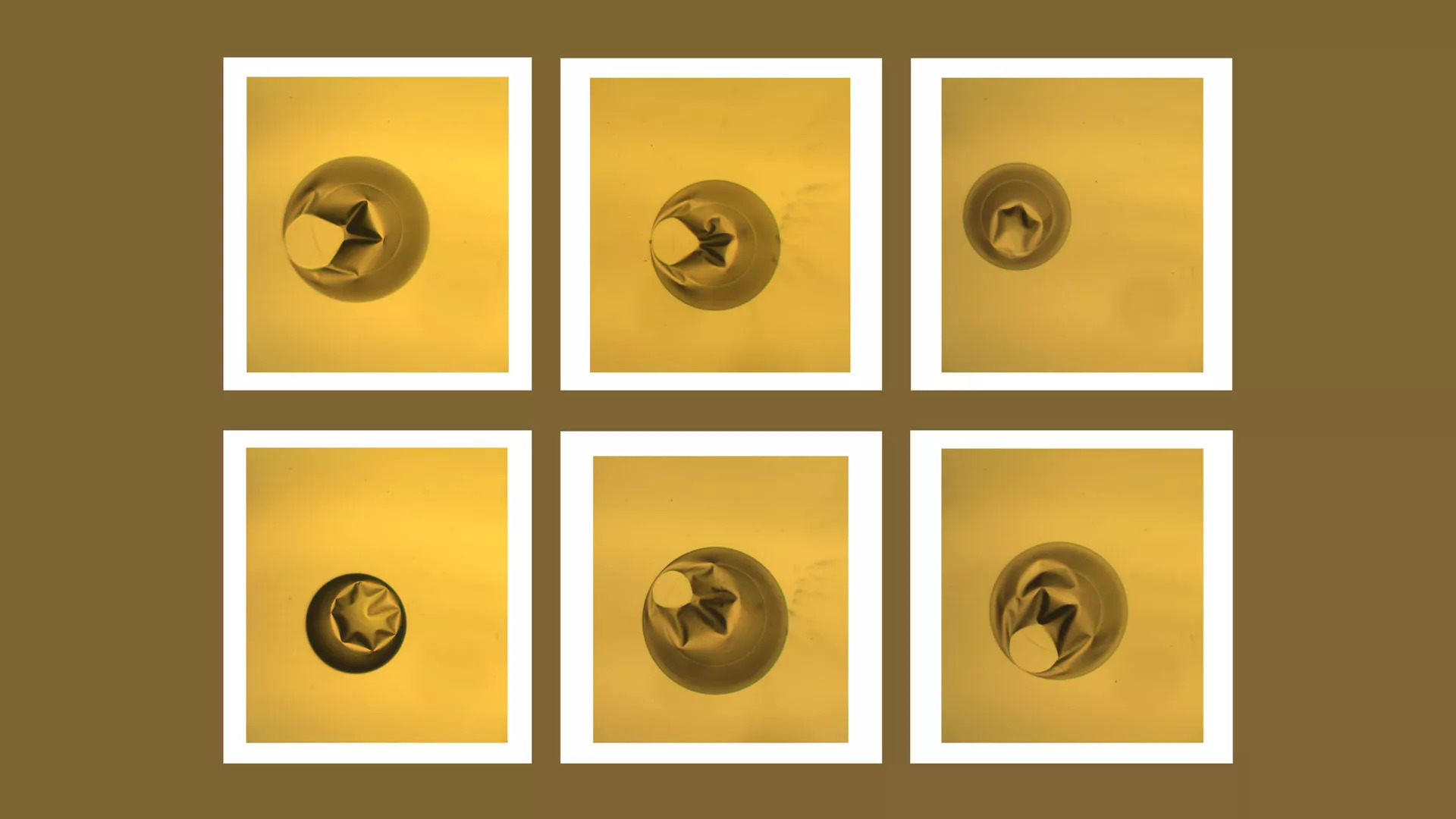 2022 - Finalist - How many fish can you see? - Dr Bin Guan, Research Associate, Future Industries Institute