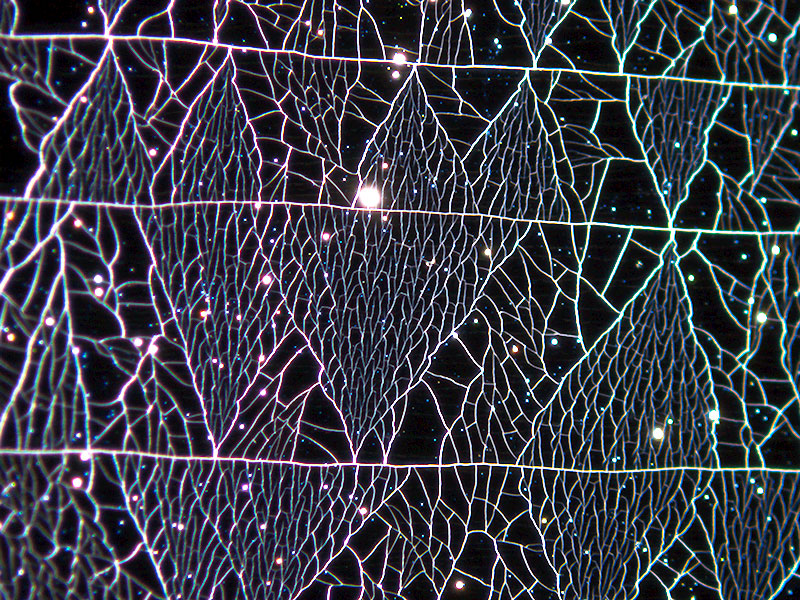 The Cracked Surface by Bastian Stoehr