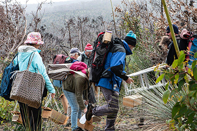 Volunteers following hygiene protocols and preparing to deploy nest boxes on burnt ground.