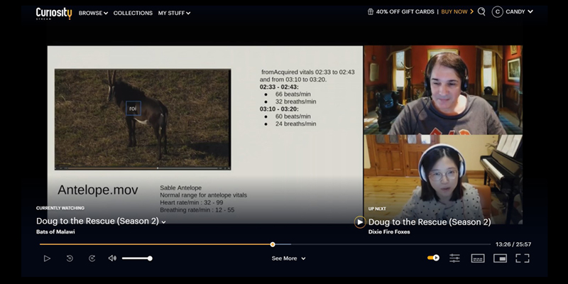 Danyi Wang and Prof Chahl are interviewed via Zoom, discussing the challenges they faced to pick up tiny movements from the animals&rsquo; chest cavities filmed by Thron&rsquo;s drone from ranges of more than 50 metres.